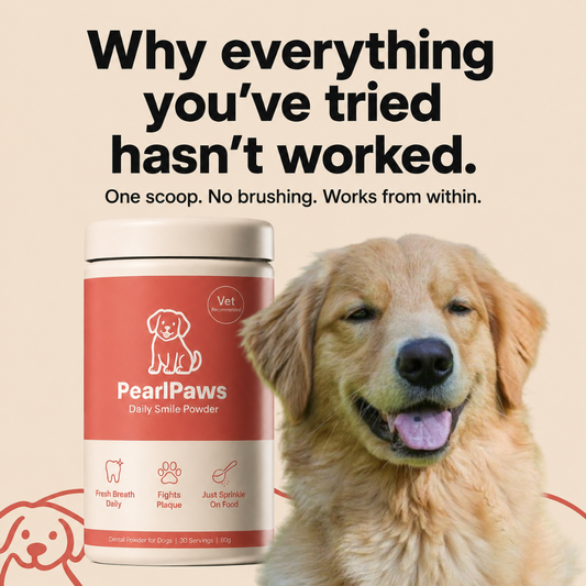 PearlPaws® Oral Restore | Daily Biofilm Defense for Dogs